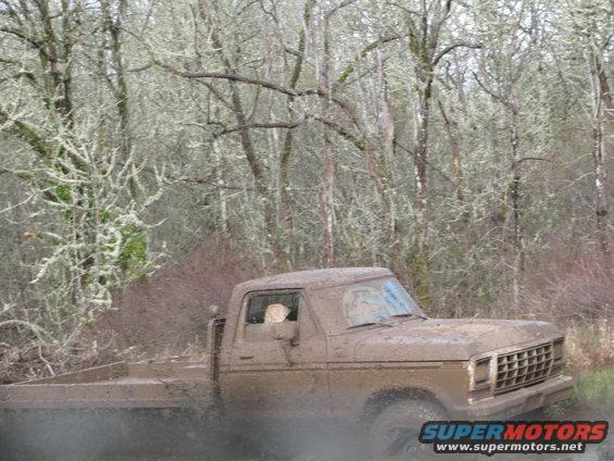 Muddy pickup truck driving through a wooded area. Grille looks like a 1978 Ford