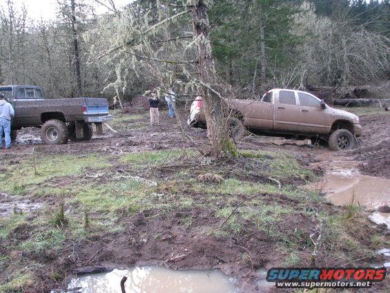 Two trucks are stuck in a muddy wooded area. One is a dark-colored older model, the other is a lighter-colored newer model