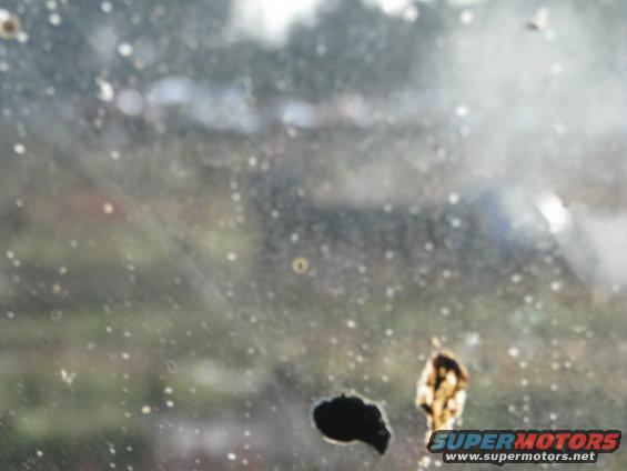 Mud splatters and debris on a windshield, obscuring the view