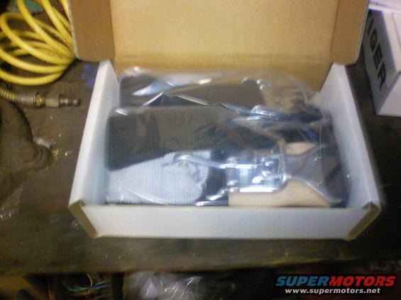 Seatbelt buckle and strap in a box
