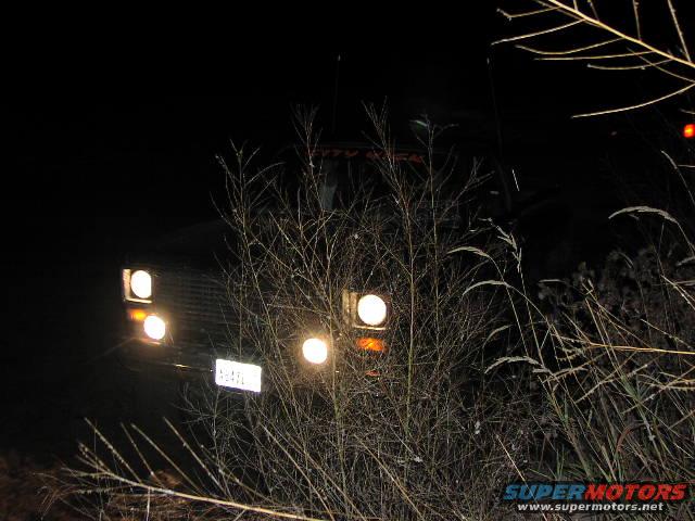 1980 Ford Bronco front end with headlights on, obscured by dry brush at night. License plate is visible