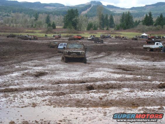 Mud bogging scene with multiple trucks stuck in mud, front view of a dark-colored truck