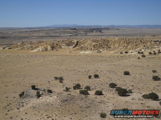 Desert landscape with a dark-colored SUV partially obscured by trees