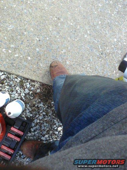 p_00080.jpg