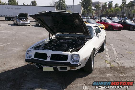 White 1975 Pontiac Firebird with hood open, showing engine. Other cars visible in background