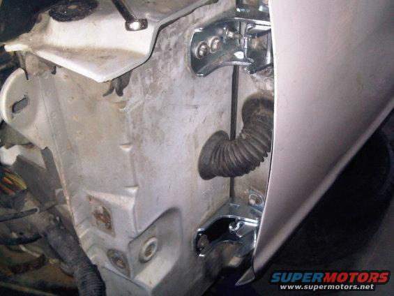 img00150201103181155.jpg Putting new hinges, to replace the saggy old ones.