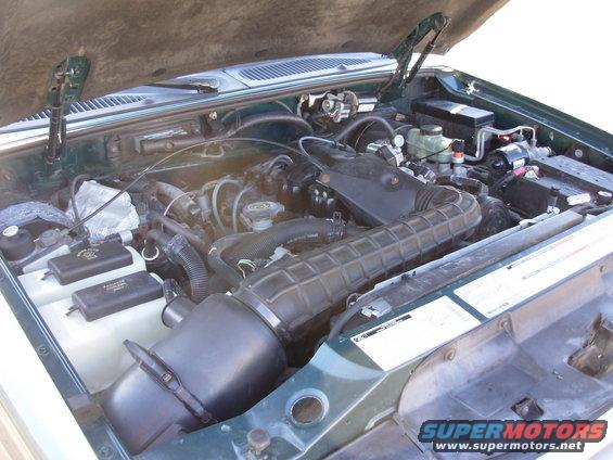 1997 Ford Explorer engine bay with hoses and air intake visible