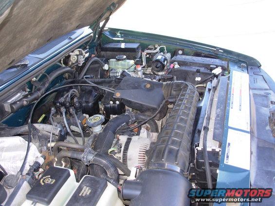 Green 1997 Ford Explorer engine bay with hoses, wires, and alternator visible