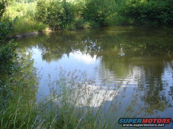 Pond with reflections of trees and sky, grass in foreground. Supermotors.net logo in lower right