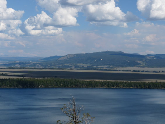 Blue lake in foreground with tree branches, dark green forest, and distant mountains under a cloudy sky
