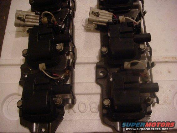 Pair of engine ignition coils with wiring harnesses