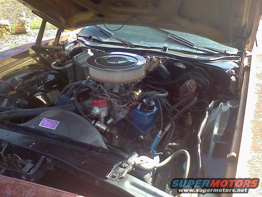 1979 Ford F-250 engine bay with aftermarket air cleaner, red distributor cap, and blue valve covers