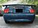 New Steeda Race Wing