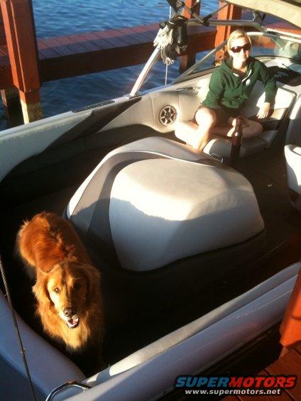 Thats a bad ass looking dog right there!  smart as hell!  Wife is not bad either:)