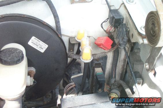 dcp_2704.jpg Put the filter through the top and sandwiched the mount with 1/4" fuel line.