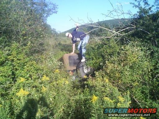 Off-road vehicle partially obscured by dense brush and trees, with a person standing on its roof