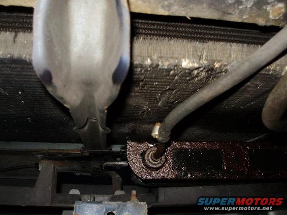 Radiator and hose assembly with rust and oil residue