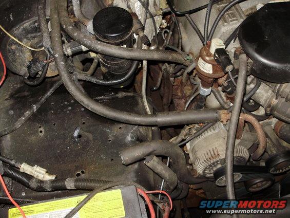 Engine bay with hoses, wires, alternator, and oil filter. Some rust is visible