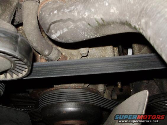 Close-up of a serpentine belt and pulleys in an engine bay. Hoses are visible above the belt