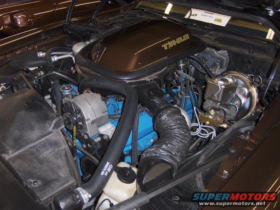 Engine bay showing T/A 6.6 badge on air cleaner housing, alternator, and brake booster