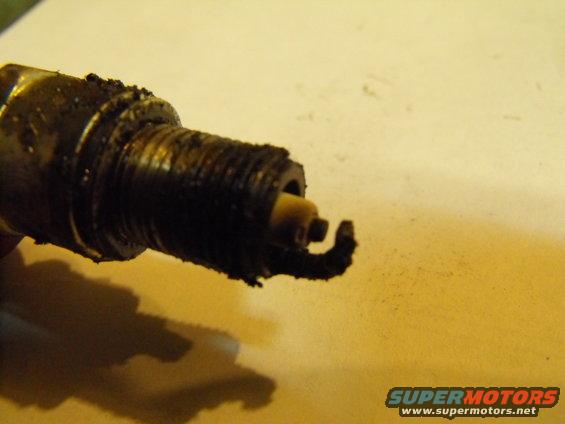Only one plug, the passenger's second from the front, looked like this.
