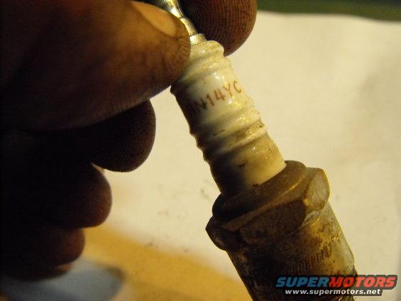 dscf1613.jpg These are correct for an 83' 318, but I prefer Autolite Copper 65s gapped out to .050" instead of stock .035"