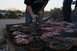 Mar2011Steaks.jpg
