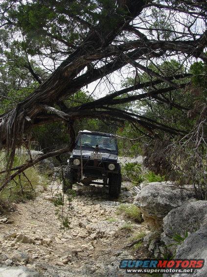 Off-road vehicle navigating a rocky, wooded trail under a fallen tree branch