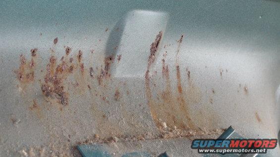 Rust spots on a light blue metal surface, possibly a car panel