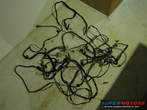 img_1644.jpg Random harness #2, from the BD interior