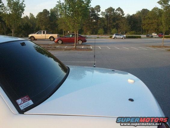 1998-ford-cvp71-rubber-plugs.jpg plugged holes 4-11-2011