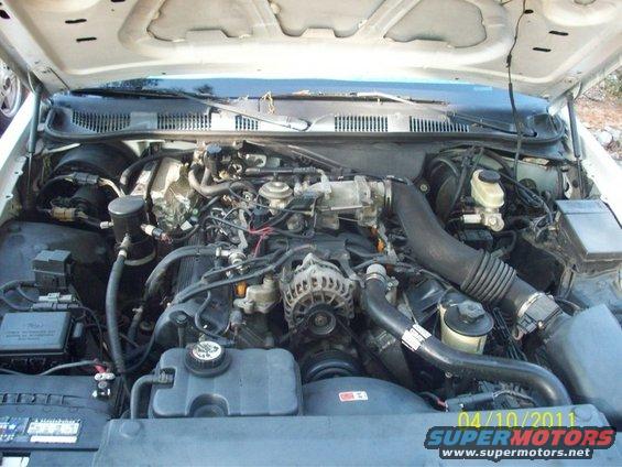1998-ford-crown-vic-engine-tricky-vicky.jpg wiped engine down a little