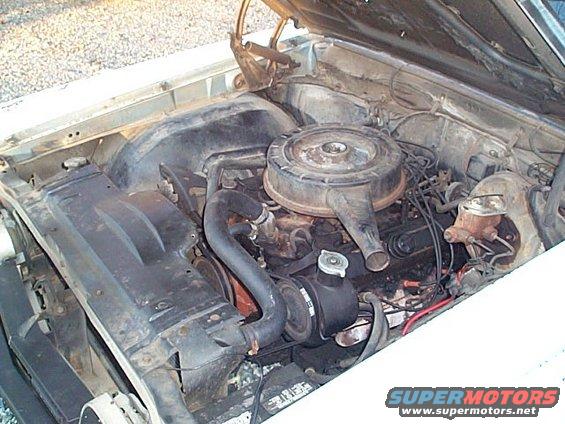 Engine bay with V8 engine, air cleaner, hoses, and power steering pump