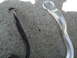 2003 Ford Taurus - Close-up of two automotive suspension components on a concrete background.