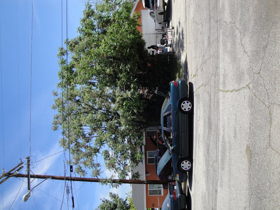 Green 2003 Ford Taurus sedan, side view, parked on cracked asphalt