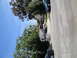 2003 Ford Taurus - A street scene shows multiple vehicles parked along the curb under a clear blue sky.