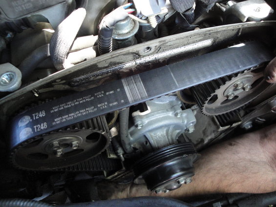 Timing belt with T248 markings and Gates logo, near a water pump and gears