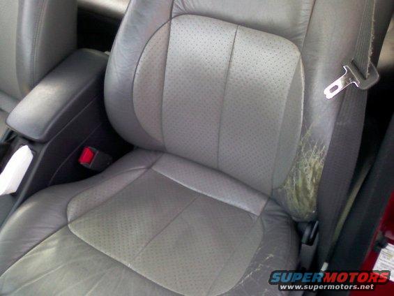 seatdr.jpg 
