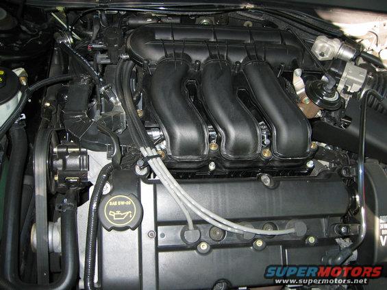 "Chipped" 24v Duratec 200+ hp 200+ fp torque, short ram intake