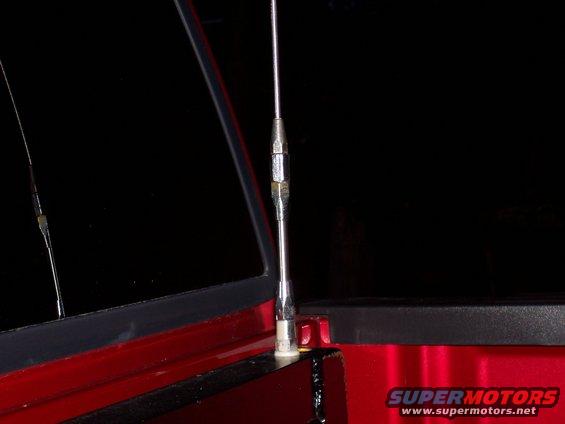 wilson-ant-riser-001.jpg 