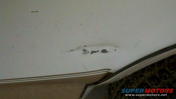 20110405_125434_412.jpg body damage 2