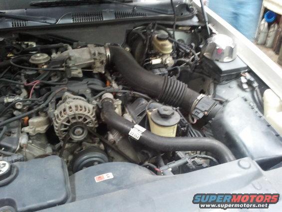 tricky-vicky-1998-ford-crown-vic-new-rad.-hose.jpg 
