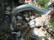 2003 Ford Taurus - A silver exhaust pipe and a rusty muffler are visible, lying amongst debris.