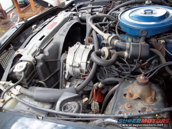 Engine bay showing alternator, radiator hoses, and fan shroud