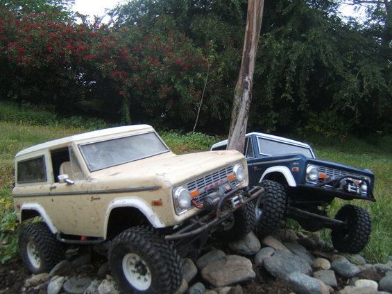 Two RC rock crawler trucks, one tan and one blue, on rocks