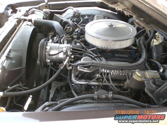 Engine bay with chrome air cleaner and V8 engine components