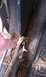 IMAG0357.jpg