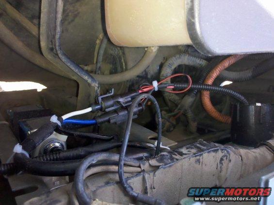 Close-up of vehicle wiring, showing connectors and bundles of wires