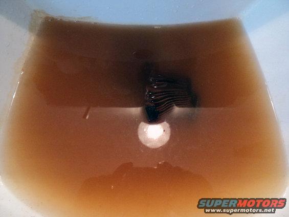 Coolant filter submerged in dirty brown fluid