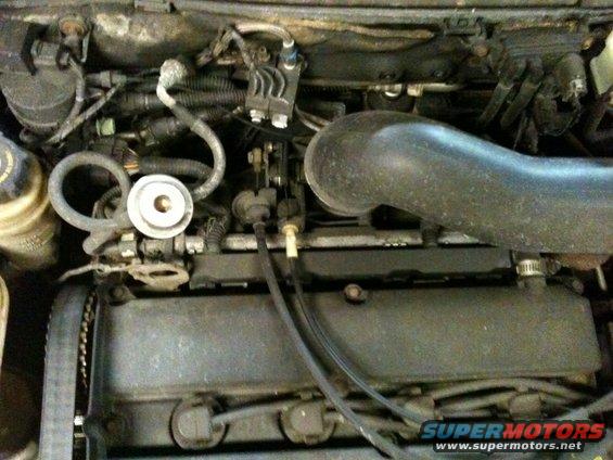 Engine bay of a 2002 Ford Focus, showing the engine block, hoses, and air intake
